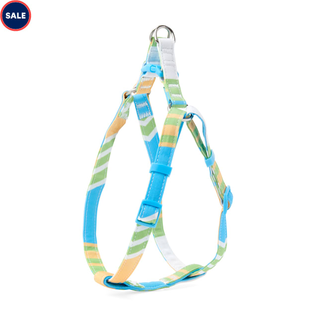 Multicolor dog harness Clearance