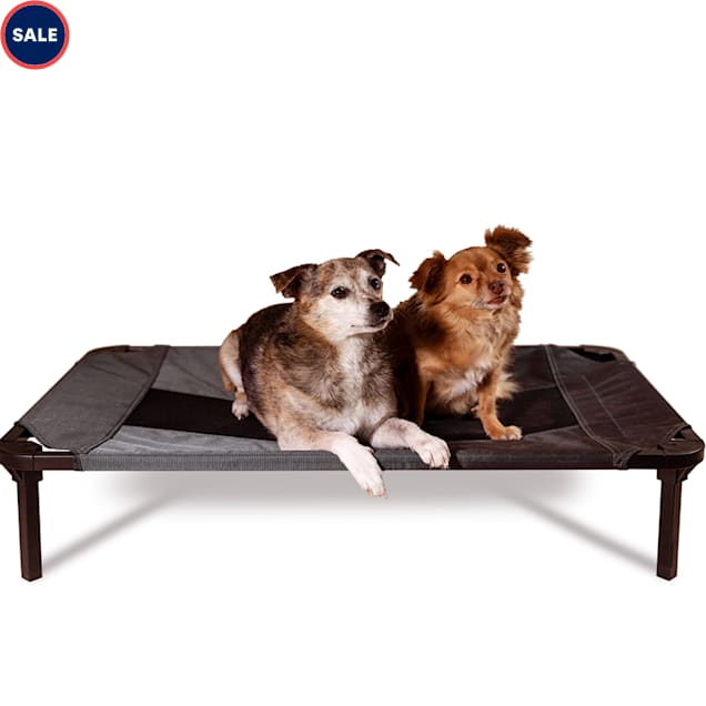 Lucky Dog Comfort Cot Gray Elevated Bed, 30" L X 19.7" W X 7.5" H Petco