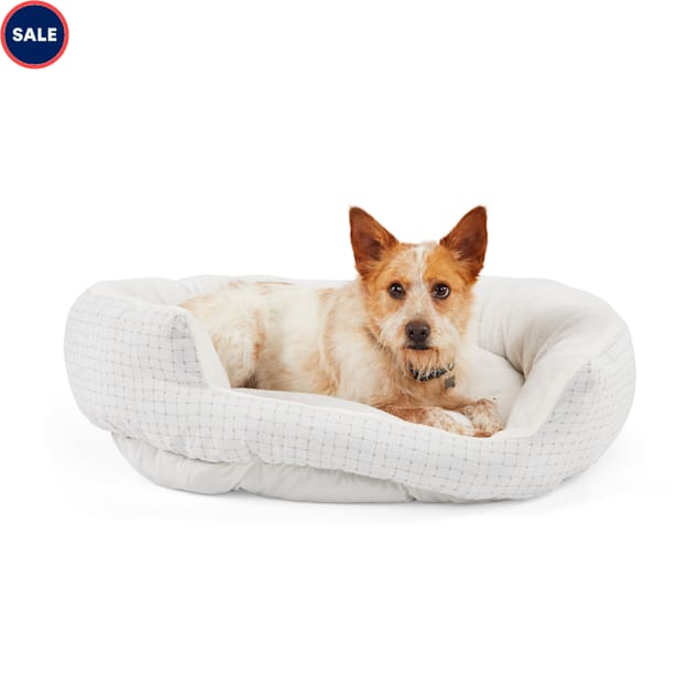 EveryYay Essentials Snooze Fest Gray Round Dog Bed, 36" L X 30" W X 10" H - Carousel image #1