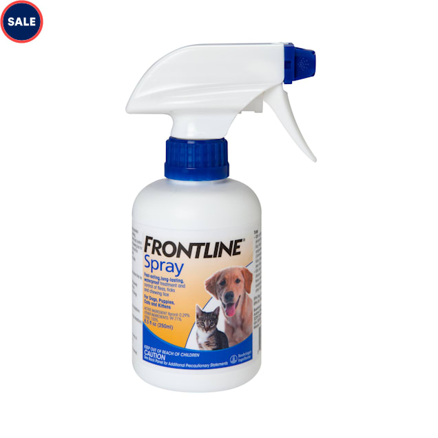 frontline treatment for cats