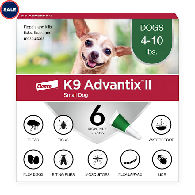 flea treatment for 4 month old puppy