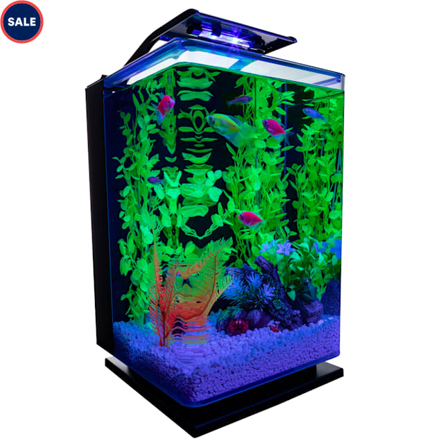 GloFish Hinged Cycle Light and Hidden Filtration Aquarium