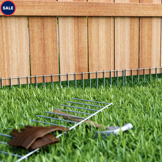 dig defence lowes