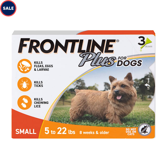 flea and tick yard treatment safe for dogs