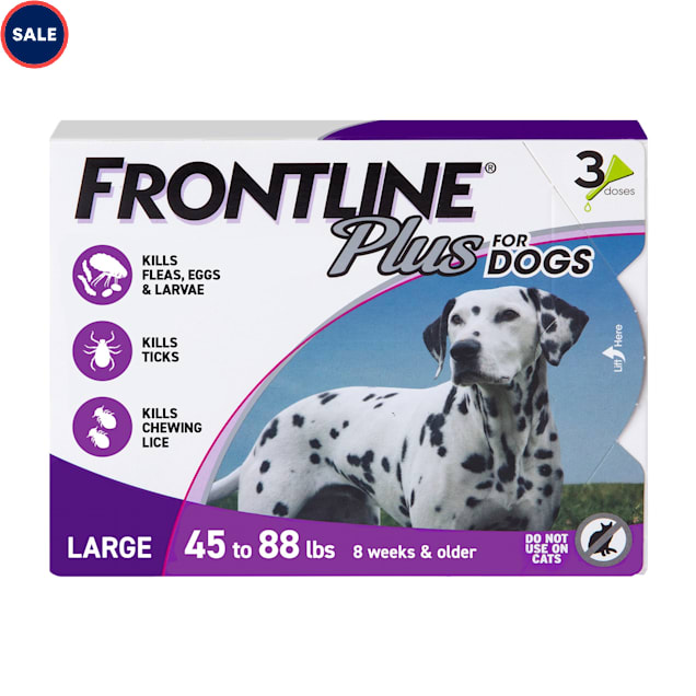 dog flea treatment 3 months