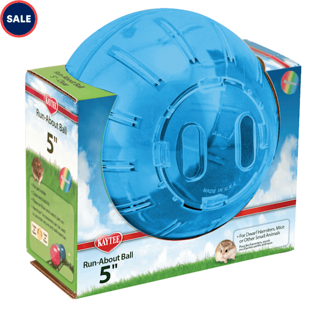 5 inch exercise 2025 ball