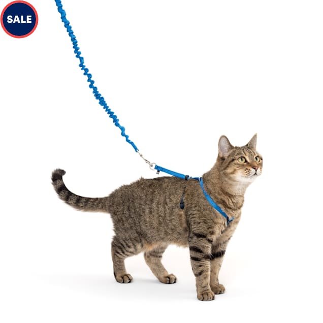 Come With Me Kitty™ Cat Harness & Bungee Leash