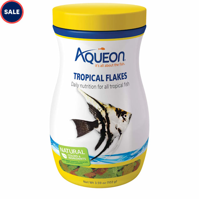 Best tropical fish food hot sale