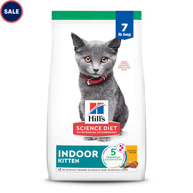 What is the best kitten food to discount buy