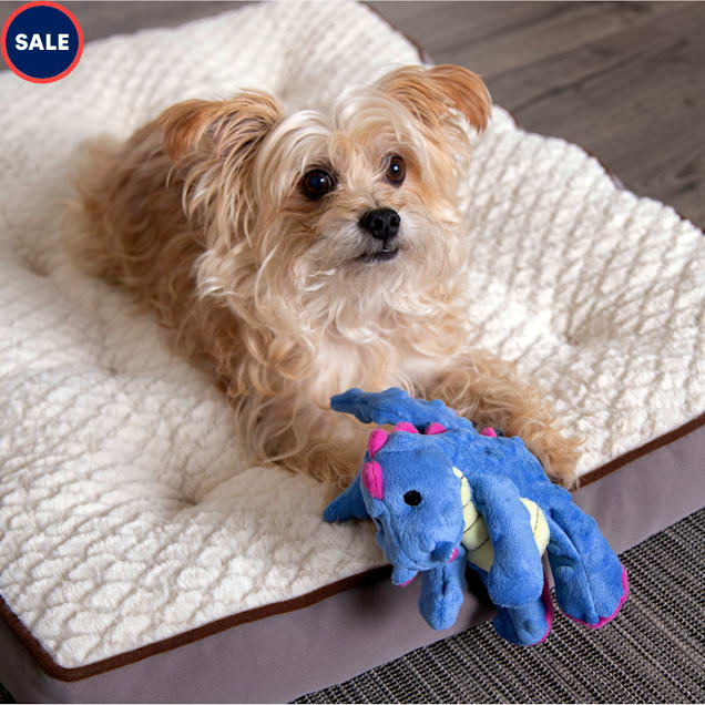 goDog Plush Dragon Dog Toy Petco