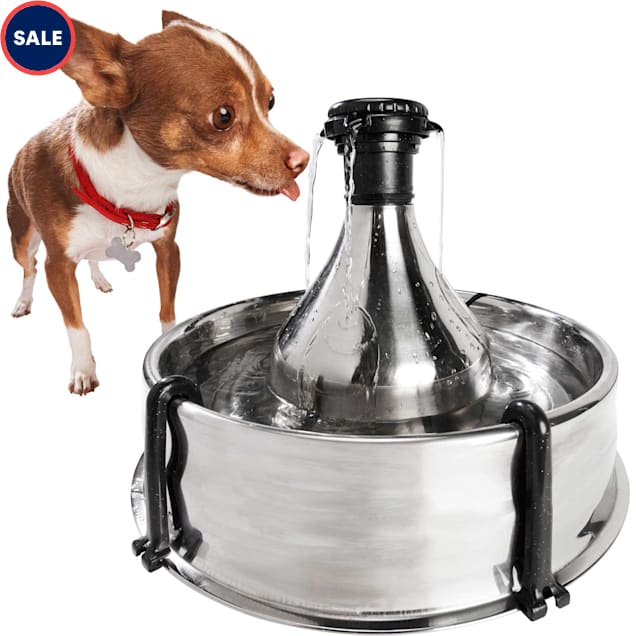 PetSafe Drinkwell 360 Stainless Steel Multi-Pet Dog and Cat Water Fountain, 128 oz. - Carousel image #1