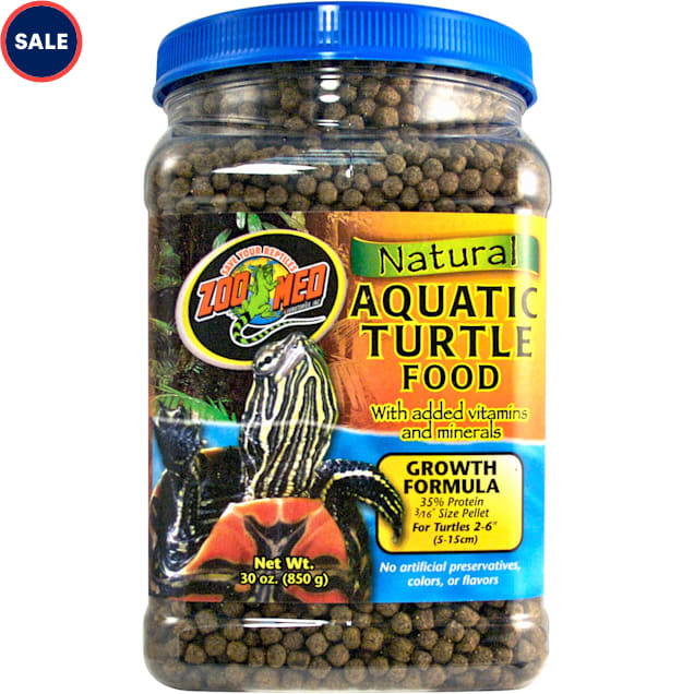 Petco turtle prices outlet