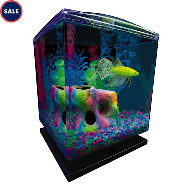 GloFish Perfect Starter Tank Aquarium Kit 1.5 Gallons, 7.5" H X 8.25" W X 12.75" H - Carousel image #1