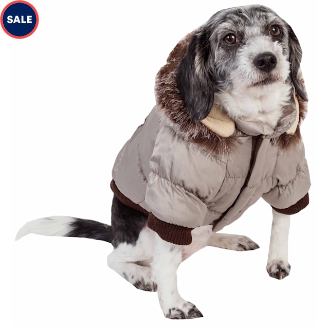 Petco dog coats shop