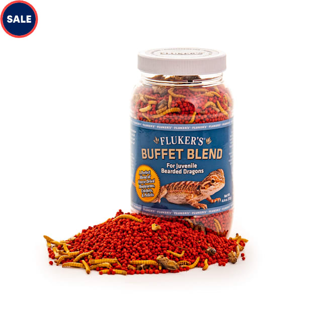 Petco bearded dragon food 2025