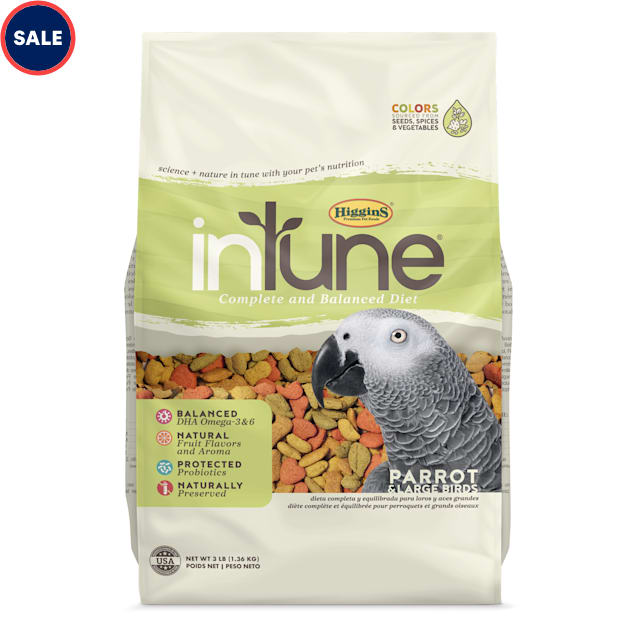 Parrot food for sale shop