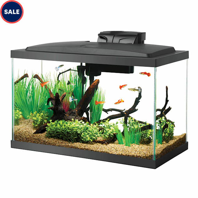 Aqueon Standard Glass Aquarium Tank 10 Gallon - Carousel image #1