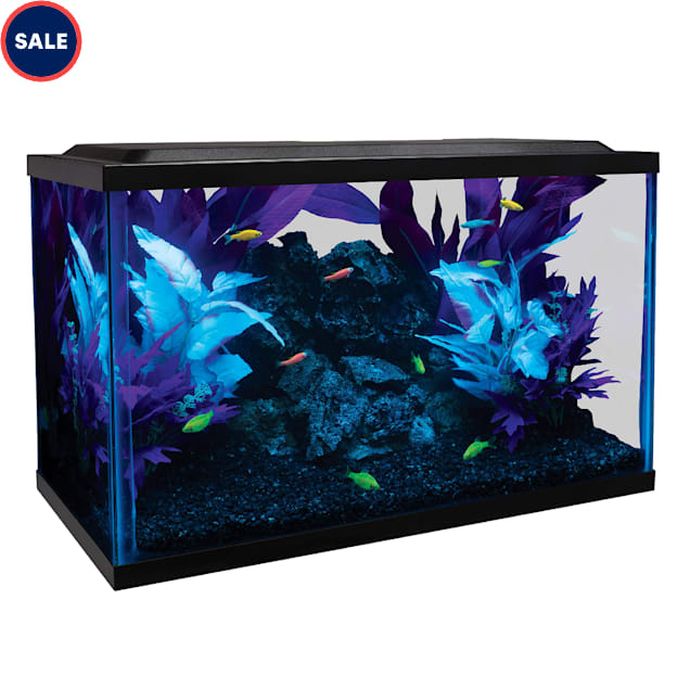 Petco ten gallon tank clearance