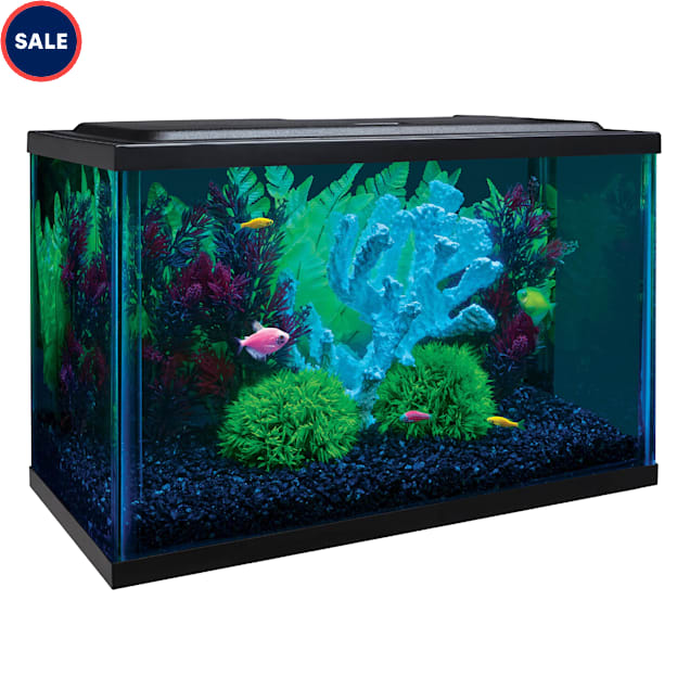 Petco glofish tank new arrivals