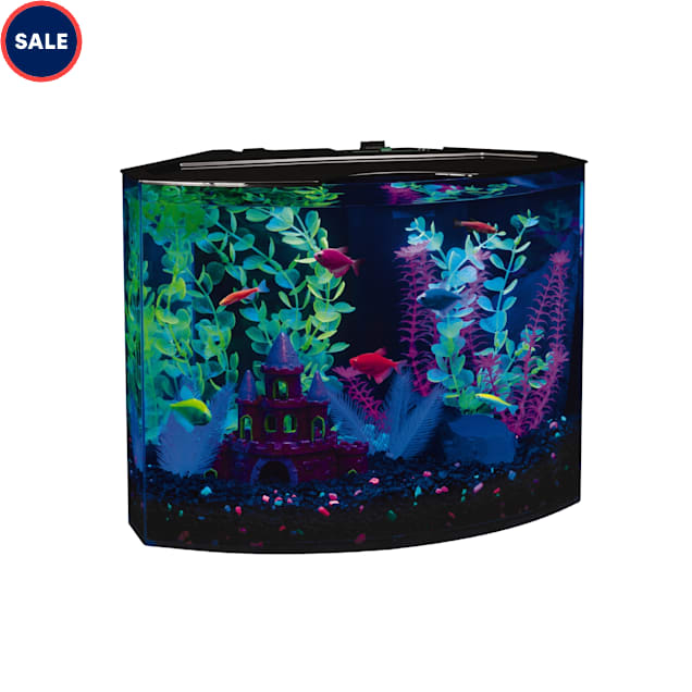 20 gallon glofish tank clearance