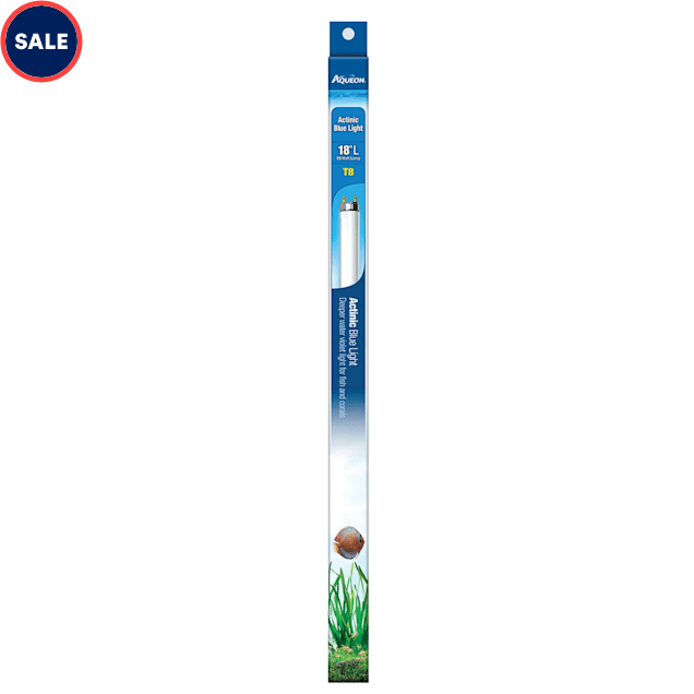 Aqueon T8 Actinic Blue Light Fluorescent Aquarium Lamp, 17w, 24" L - Carousel image #1