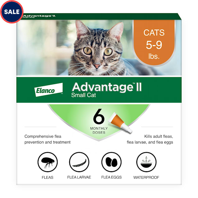 Advantage II Elanco Vet-Recommended Flea Treatment & Prevention for Small  Cats, Count of 6 | Petco