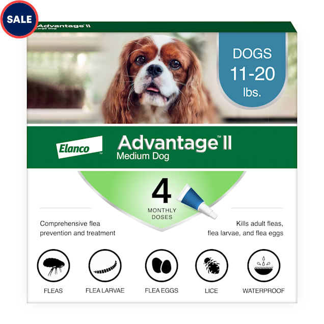 Best flea treatment non prescription top