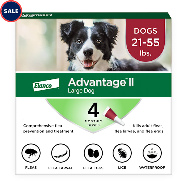 Advantage II Vet Recommended Flea Treatment Prevention for Large
