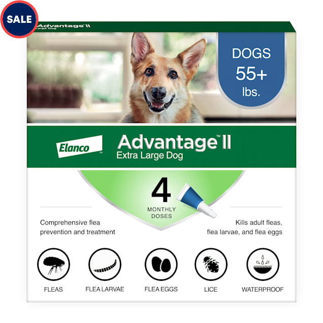 Daily flea treatment on sale for dogs