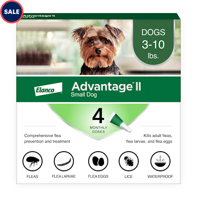 Petco flea meds for cats hotsell