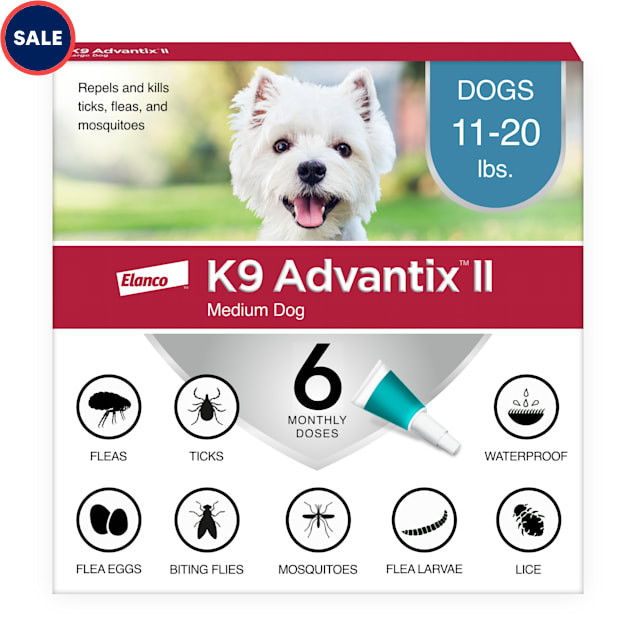 Petco flea treatment hot sale