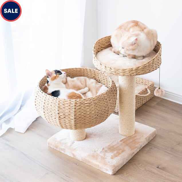 PetPals Group Cozy Eco Friendly Handwoven Cat Tree with Sisal Scratching Post 23 H Petco