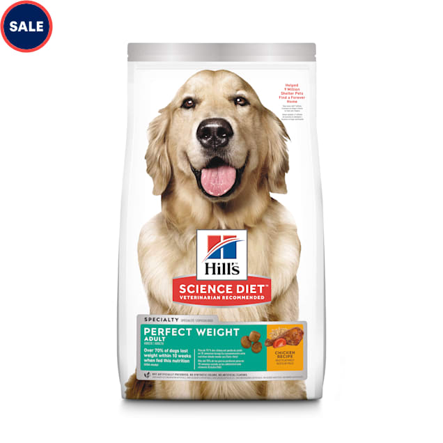 Dog Food in a Measuring Tank on the Background of the Dog Stock