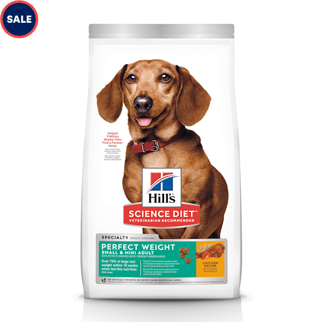 Dog Food in a Measuring Tank on the Background of the Dog Stock