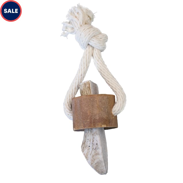 KONG Wild Antler Chew Treat Dog Toy, Medium Petco