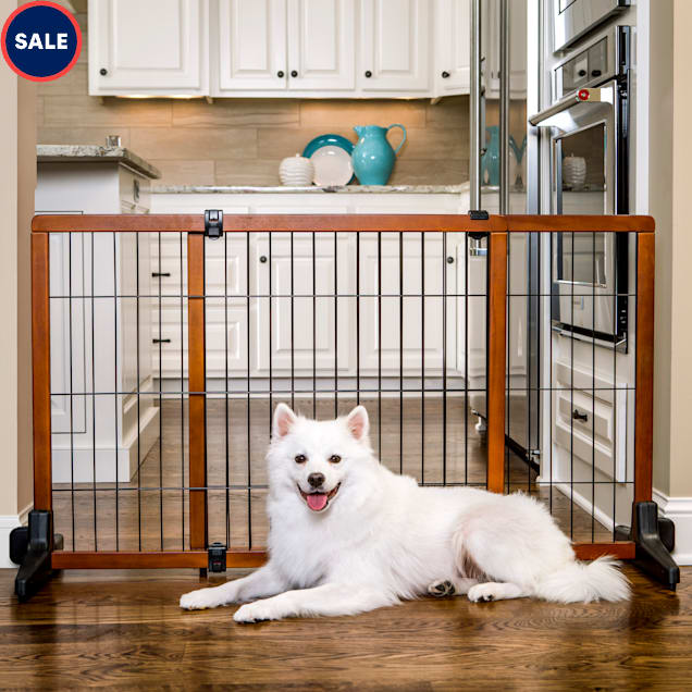 Carlson Freestanding Pet Gate Large Petco