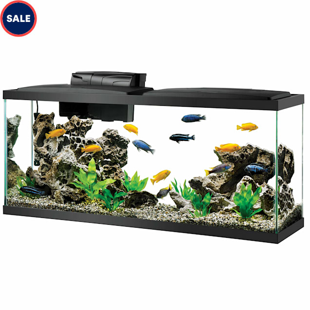 Corner fish tank petco sales