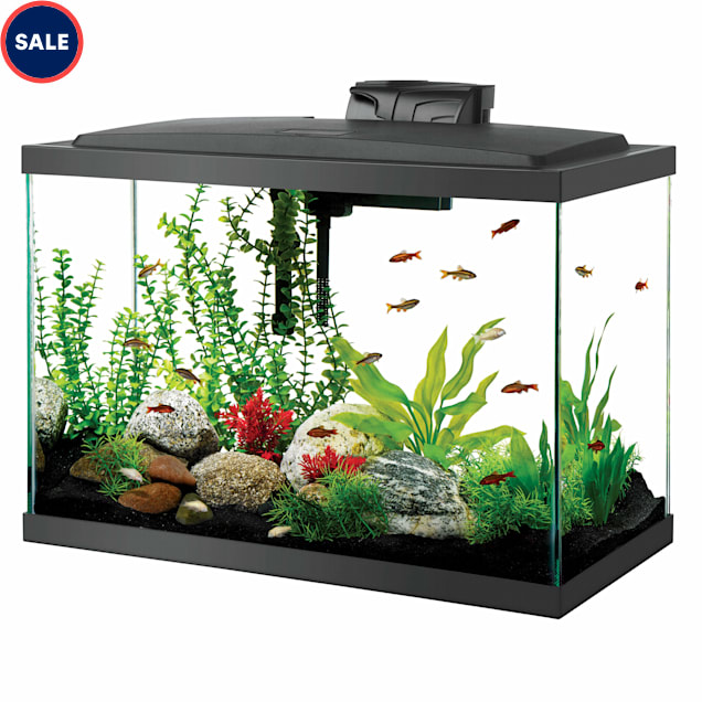 Aqueon LED Aquarium Kit 20 Gallon High