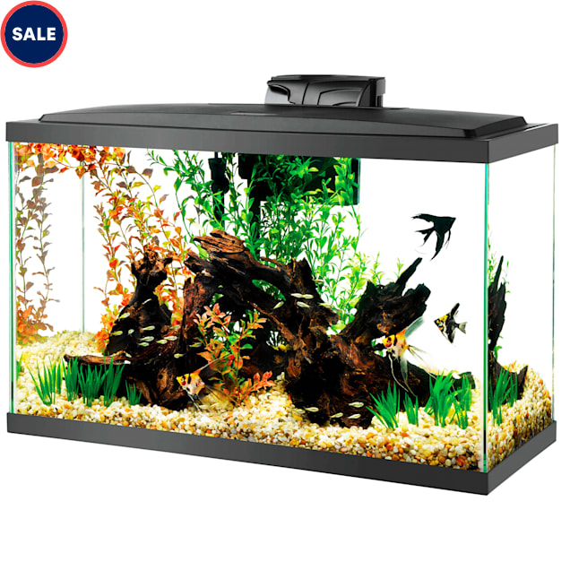 Aqueon LED 29 Gallon Aquarium Kit 32.25 L X 14.25 W X 20.63 H