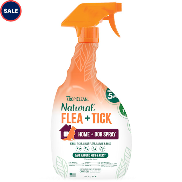 All natural flea spray for home shop