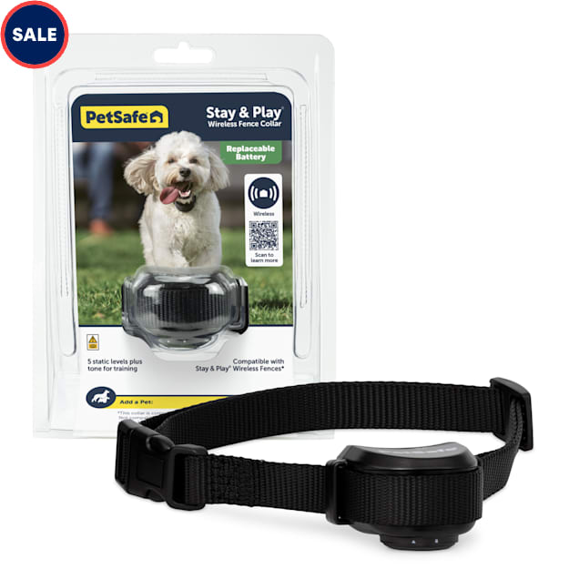 PetSafe Stay Play Wireless Fence Replaceable Battery Receiver Collar for Dogs Petco