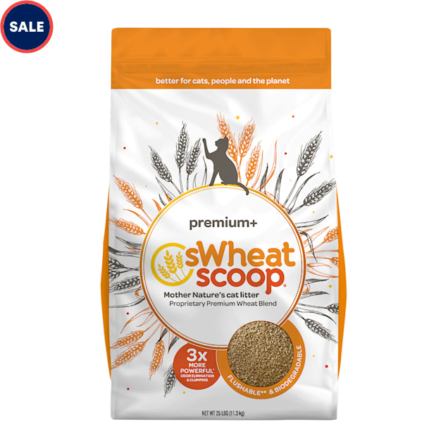 Swheat Scoop Unscented Premium+ All-Nature's Cat Litter, 25 lbs. - Carousel image #1