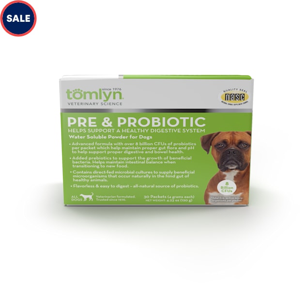 Best pre and probiotics for dogs store