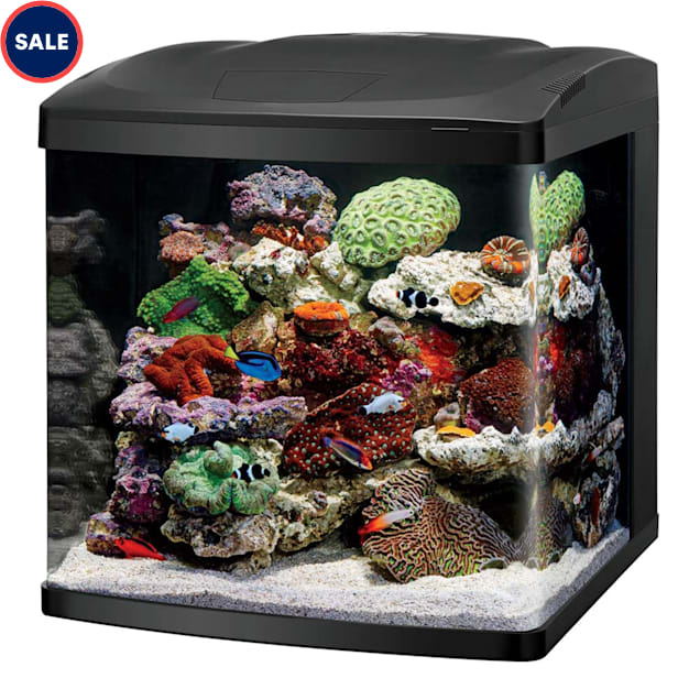 Petsmart biocube cheap