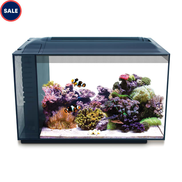 Fluval EVO XII Marine Aquarium Kit, 13.5 Gallons - Carousel image #1