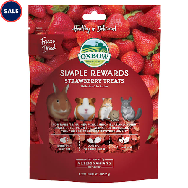 Oxbow Simple Rewards Strawberry Small Animal Treats, 0.5 oz. - Carousel image #1