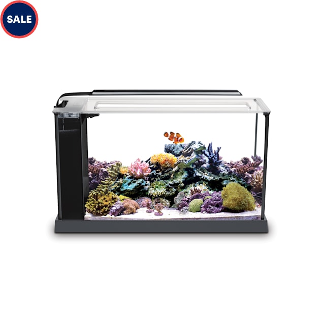 Petco gallon tank sale cheap