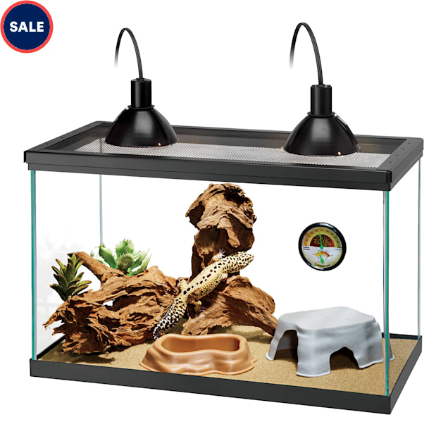 All living things 40 gallon desert reptile starter kit top