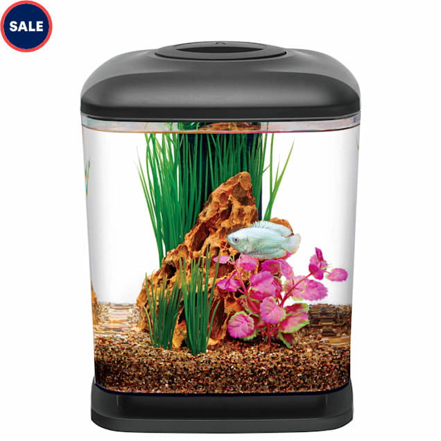 Petco corner aquarium best sale