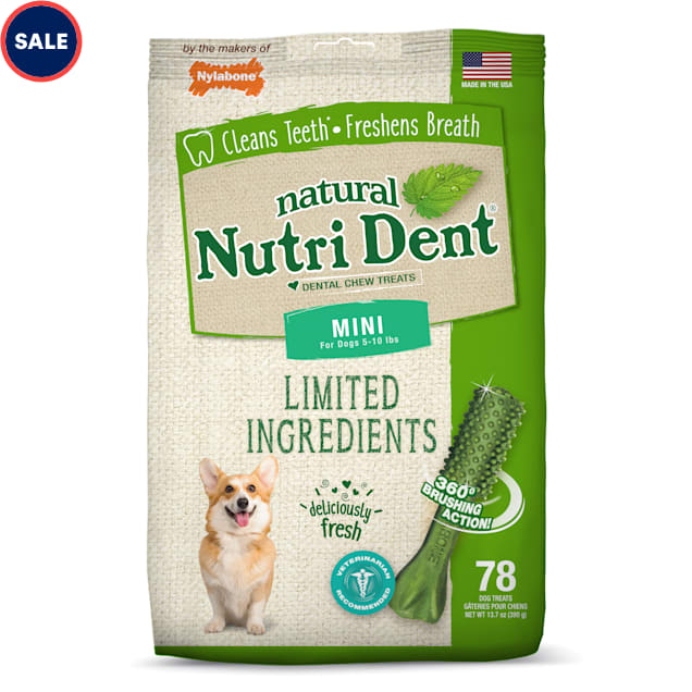 Nylabone Nutri Dent Limited Ingredients Mini Fresh Breath Dental